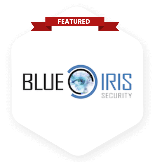 AI for Blue Iris
