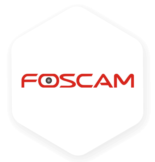 AI Video Monitoring for Foscam