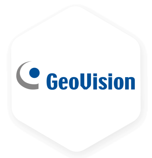 AI Video Monitoring for GeoVision