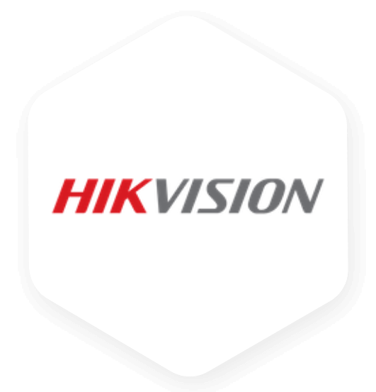 AI Video Monitoring for HikVision